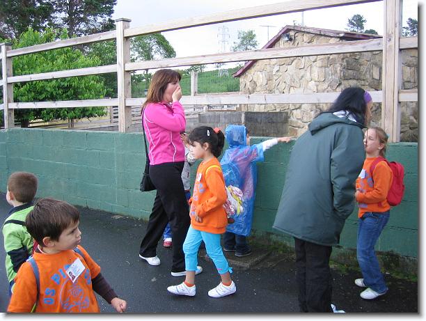 Diapositiva siguiente